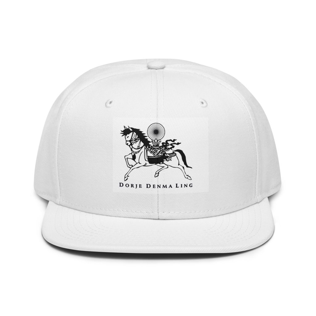 Snapback Hat